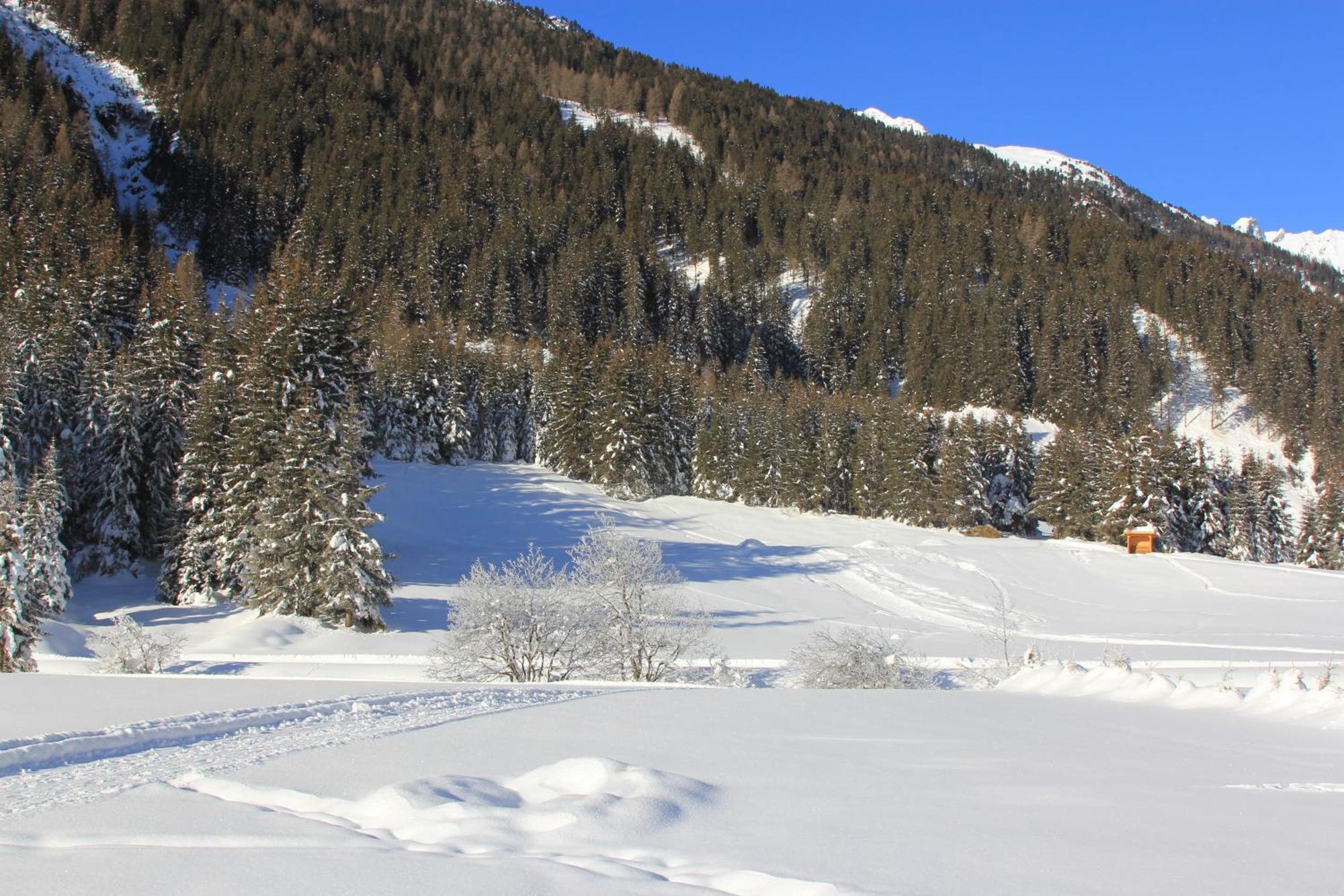 Haus Astoria Daire Sankt Leonhard im Pitztal Dış mekan fotoğraf